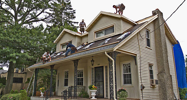 Best Roof Gutter Cleaning  in Bloomfield Hills, MI